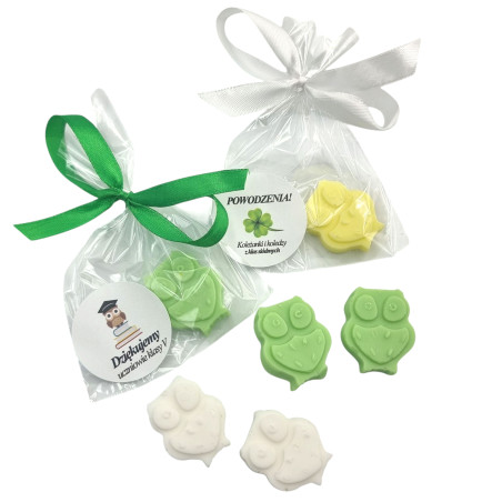 PREZENT SOWA Zakończenie...